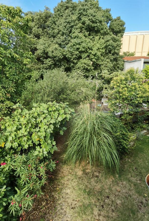 Pine And Lime Apartments プーラ エクステリア 写真