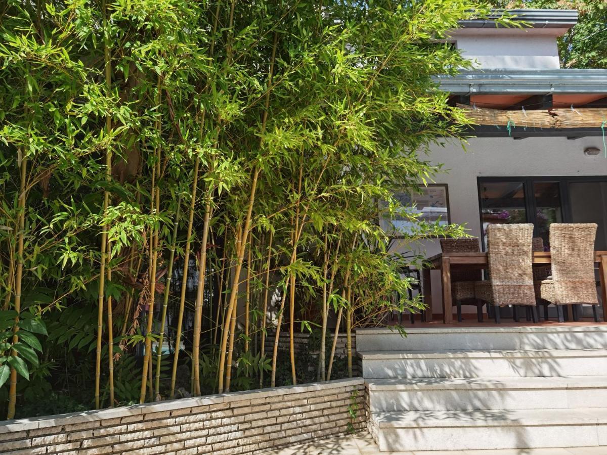 Pine And Lime Apartments プーラ エクステリア 写真
