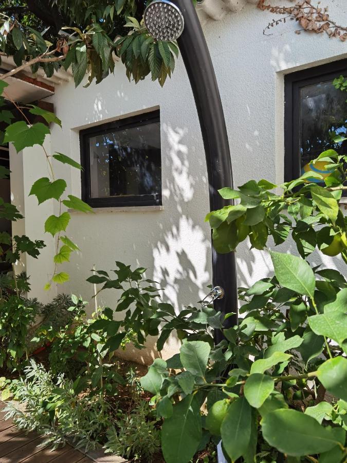 Pine And Lime Apartments プーラ エクステリア 写真