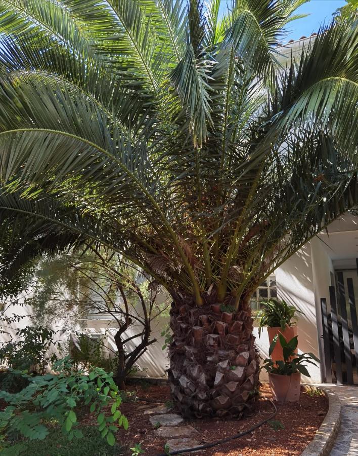 Pine And Lime Apartments プーラ エクステリア 写真